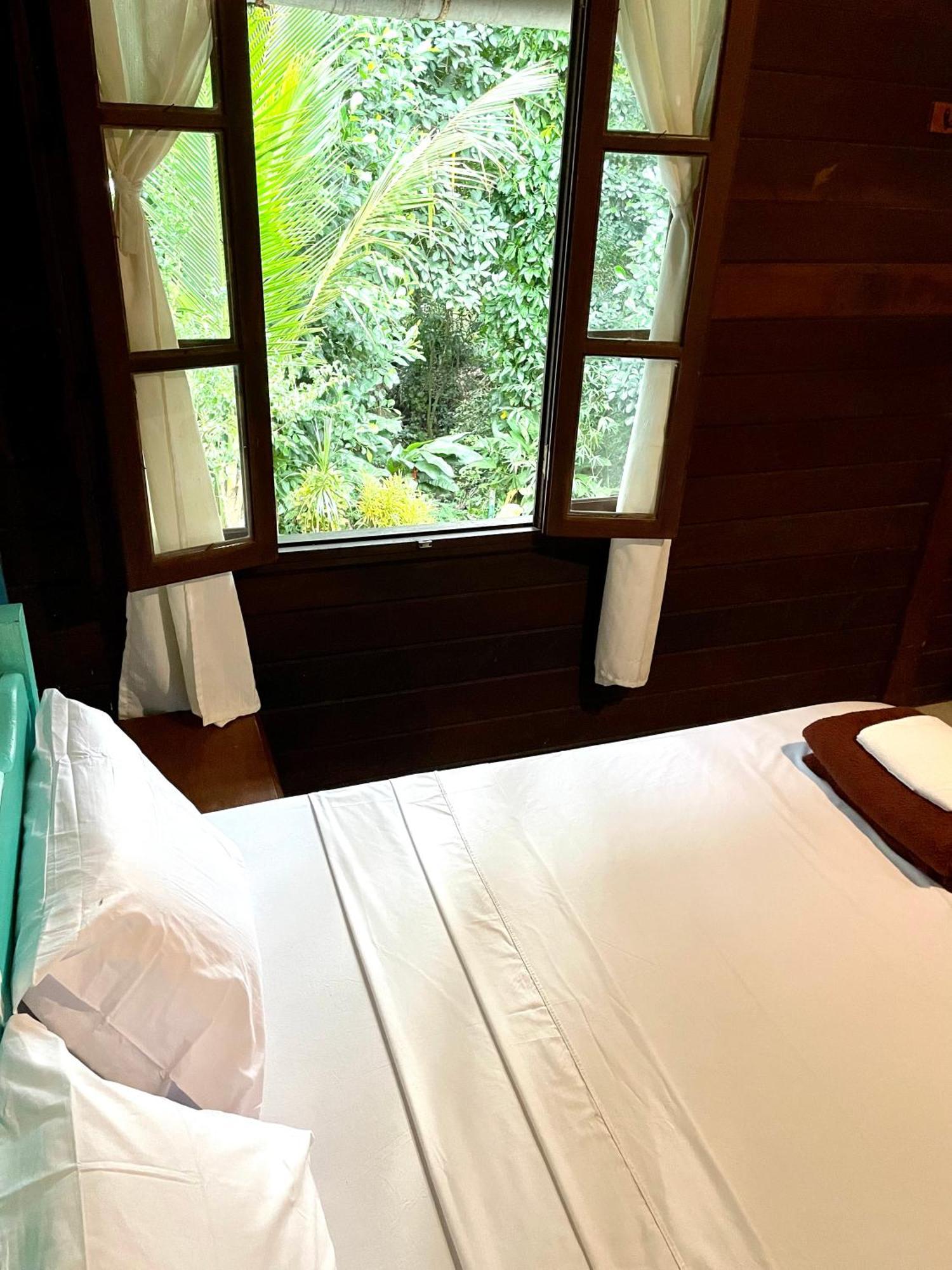 Casa Selva - Vila Do Abraao - Ilha Grande Ngoại thất bức ảnh